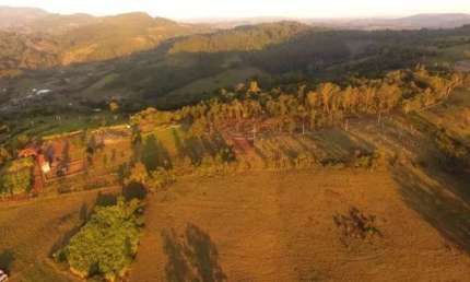 [117292]  CHACRINHA COM LUZ E ÁGUA ENCANADA EM ROLANTE, LINDA VISTA E POR DO SOL 2500M²