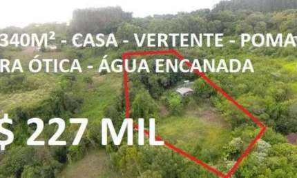 113845 - CHÁCARA COM MUITA FRUTA, RICA EM ÁGUA, FIBRA ÓTICA E CASA EM ROLANTE