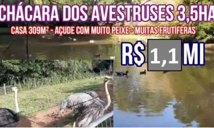 113814 CHÁCARA EM TAQUARA NO RS, CASA 309M² PISCINA, MUITO POMAR, AÇUDE COM PEIXES, FIBRA