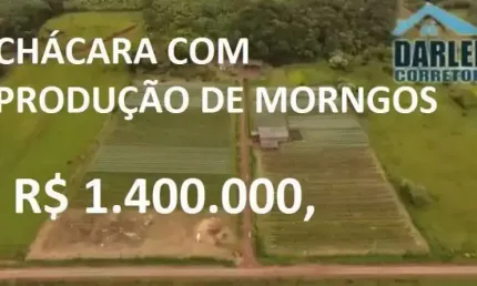 13910 - CHACARA COM PRODUÇÃO DE MORANGOS COM CASA, AÇUDE, VERTENTE, BANANAL