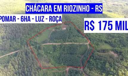 [124673 ]  CHÁCARA NO RIOZINHO RS 6HA ROÇA LUZ TERRA FÉRTIL POMAR E MATO DE ACÁCIA