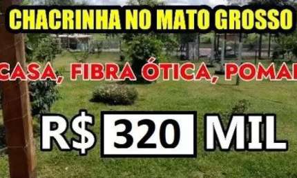 [96783]  MINI CHÁCARA COM POMAR, POÇO ARTESIANO E INTERNET FIBRA ÓTICA NO MATO GROSSO