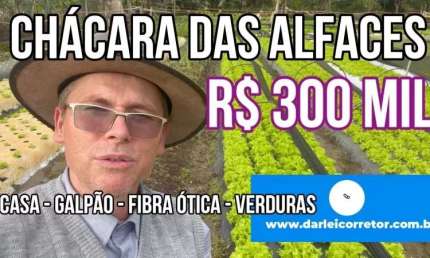 118446 CHÁCARA EM ARARICÁ COM CASA, POÇO, VERTENTE, FIBRA ÓTICA E PRODUÇÃO DE VERDURAS