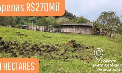 [558]  EM SANTO ANTÔNIO DA PATRULHA, 4HA, COM CASA, GALPÃO, ÓTIMA PARA CRIAÇÃO DE GADO