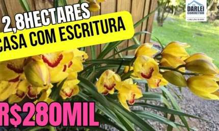 [566] CHÁCARA EM TRÊS CACHOEIRAS 2,8HA COM CASABANANAL ESCRITURA FIBRA ÓTICA