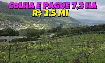 [595]  SÍTIO EM IGREJINHA 7,3HA COM PESQUE, COLHA E PAGUE, CASA, PISCINA, MUITO POMAR, CANTINA DE VINHO
