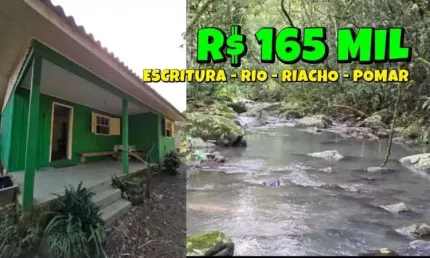 [535]CHACARA EM SANTO ANTÔNIO DA PATRULHA  2,6HA MATRÍCULA INDIVIDUAL CASA POMAR RIACHO FIBRA ÓTICA
