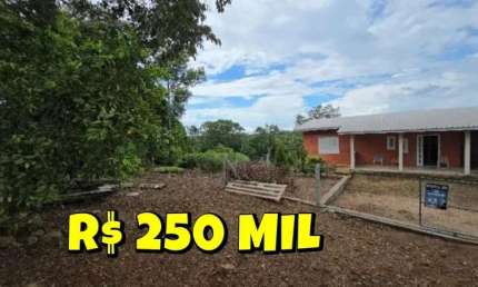 [621] CHÁCARA EM TAQUARA 8000M² CASA ENORME FIBRA ÓTICA ÁGUA ENCANADA ROÇA E MATA NATIVA
