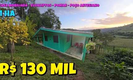 [802] CHÁCARA EM PORTO RAMOS 1 HA CASA MOBILIADA, FRUTÍFERAS, GALPÃO PARA LENHA E APROX. 600 PÉS DE EUCALIPTO