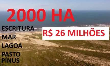 [717] FAZENDA EM PALMARES DO SUL 2000HA COM LAGOA, MAR, PASTAGEM, 800HA DE PÍNUS ESCRITURADA