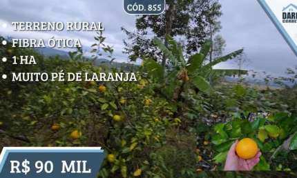 [855] CHÁCARA NO MONJOLO COM INÚMEROS PÉS DE LARANJA, FIBRA ÓTICA, LUZ