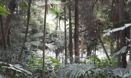 Terreno à venda na rua riese, sete praias, são paulo, 3850 m2 por r$ 820.000