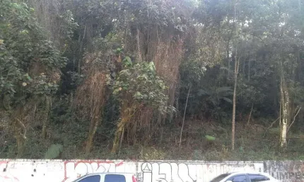 Terreno à venda na Rua das Camélias, Parque Assunção, Taboão da Serra, 6396 m2 por R$ 12.000.000