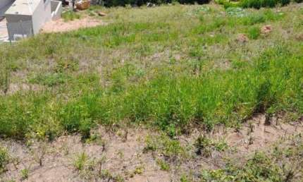 Terreno à venda, 2330 m² por R$ 795.000,00 - Condomínio Jardim Primavera - Louveira/SP