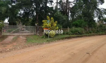 Chácara / sítio com 3 quartos à venda na Rua Campestre, Colônia Murici, São José dos Pinhais