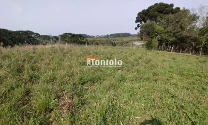 Chácara à venda, Borda do Campo - São José dos Pinhais/PR