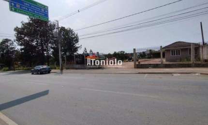 Terreno à venda na Avenida Rui Barbosa, Colônia Rio Grande, São José dos Pinhais