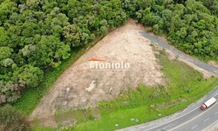 Terreno à venda na Rodovia Contorno Norte, Lamenha Grande, Almirante Tamandaré