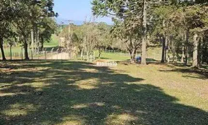 Chácara / sítio à venda na Rua Alexandre Kreoniz, Campestre da Faxina, São José dos Pinhais