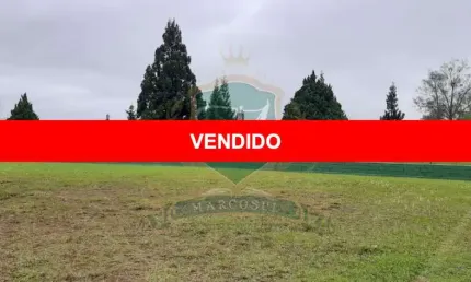 Excelente terreno comercial a venda de 2.160 m² no alphaville graciosa empresarial. pronto para edificação comercial e residencial ate 4 andares.