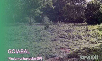 Terreno à venda, 1000 m² por R$ 140.000,00 - Goiabal - Pindamonhangaba/SP