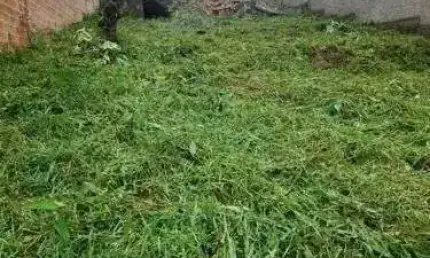 Terreno à venda na Rua Aldrovando Leão, 354, Vila Jardim, Porto Alegre