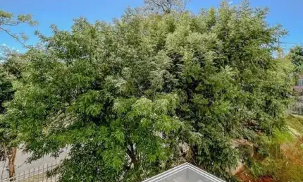 Apartamento com 3 quartos à venda na Rua Marechal Mesquita, 581, Teresópolis, Porto Alegre