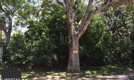 Terreno para venda - 0m², 0 dormitórios, teresópolis