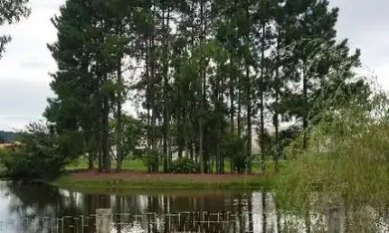 Terreno à venda na Avenida Juca Batista, 8000, Chapéu do Sol, Porto Alegre