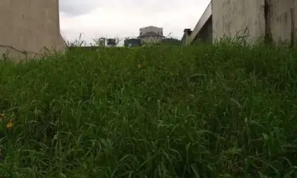 Terreno à venda na Rua Upamaroti, 820, Cristal, Porto Alegre