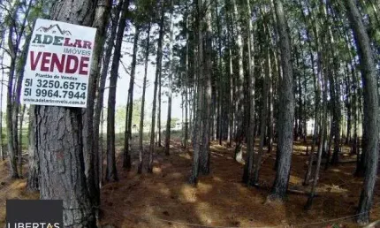 Terreno à venda na Estrada São Caetano, 210, Lami, Porto Alegre