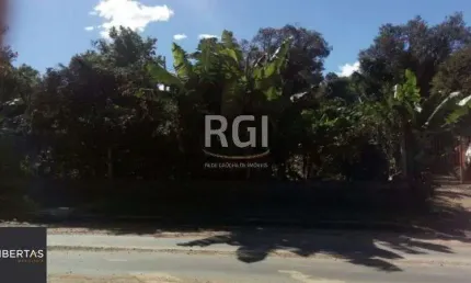 Terreno à venda na Estrada das Três Meninas, 1134, Vila Nova, Porto Alegre