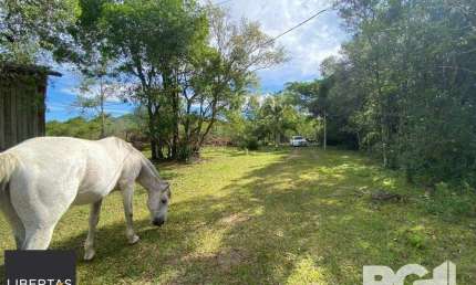 Chácara / sítio à venda na Rua Augusto dos Anjos, 2550, Boa Vista do Sul, Porto Alegre