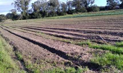 Terreno à venda na Avenida do Lami, 2676, Lageado, Porto Alegre