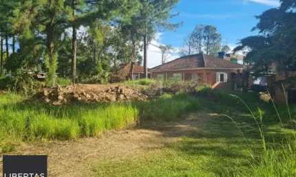 Terreno à venda na Rua Amapá, 1262, Vila Nova, Porto Alegre