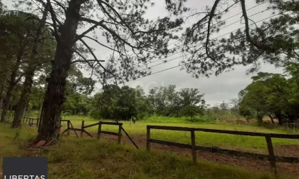 Sítio para Venda - 120217m², 0 dormitórios, Campo Novo
