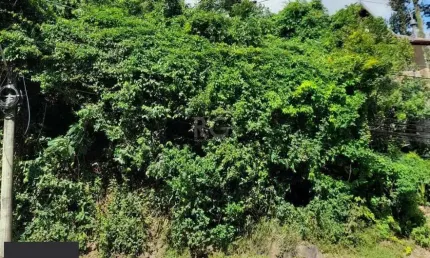 Terreno à venda na Avenida Wenceslau Escobar, 3546, Tristeza, Porto Alegre
