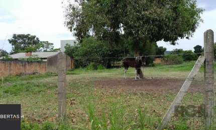 Terreno à venda na Rua Oito Mil e Dezessete, 13, Lageado, Porto Alegre
