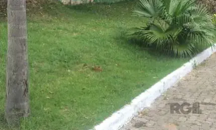 Terreno em condomínio fechado à venda na Rua Manuele Cristiane Gonçalves, 79, Vila Nova, Porto Alegre