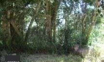 Terreno para Venda - 0m², 0 dormitórios, Belém Novo