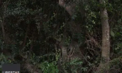 Terreno à venda na Avenida Edgar Pires de Castro, 2380, Aberta dos Morros, Porto Alegre