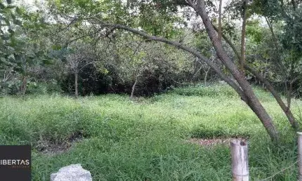 Terreno à venda na Avenida Edgar Pires de Castro, 11899, Aberta dos Morros, Porto Alegre