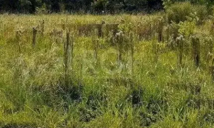 Terreno à venda na Rua Francisco Mattos Terres, 615, Aberta dos Morros, Porto Alegre