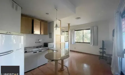 Apartamento para Venda - 40.73m², 1 dormitório, 1 vaga - Moinhos de vento Porto Alegre