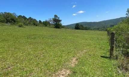 Barracão / Galpão / Depósito à venda na Estrada São Caetano, 3777, Lami, Porto Alegre