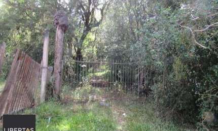 Área 53851,44 m²  no Beco da Paixão Bairro Lomba do Pinheiro