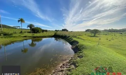 Terreno à venda na Estrada do Varejão, 6000, Lami, Porto Alegre