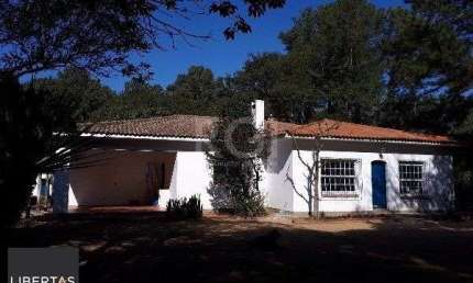 Sítio para Venda - 150m², 3 dormitórios, Belém Novo