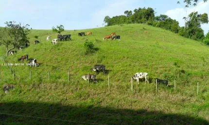 Sítio / Chácara para Venda em Santos Dumont, Centro, 3 dormitórios, 2 banheiros, 4 vagas