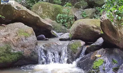 Chácara para Venda em Socorro, Zona Rural, 3 dormitórios, 3 banheiros, 3 vagas